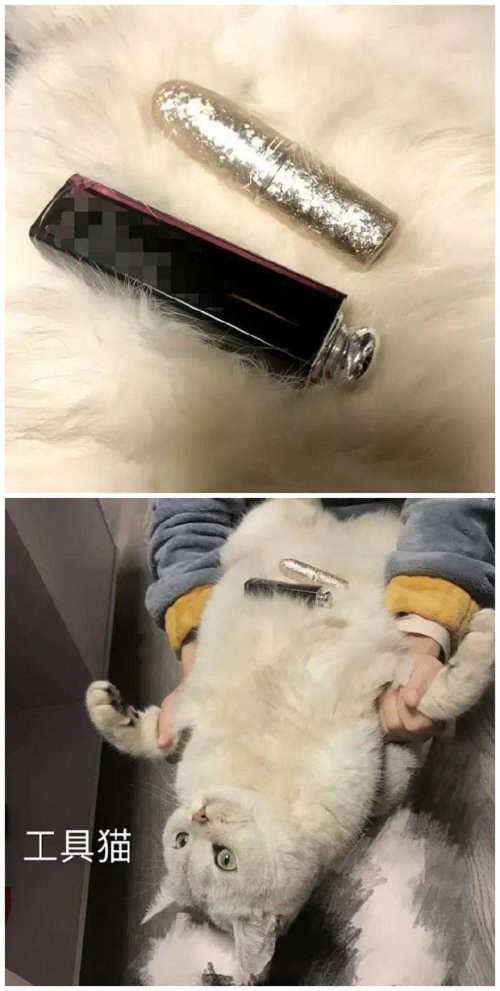 ֵ㣺˸ Զζ